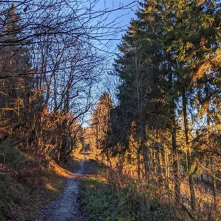 Apartamento Zentrale Und Gemuetliche In Nah An Der