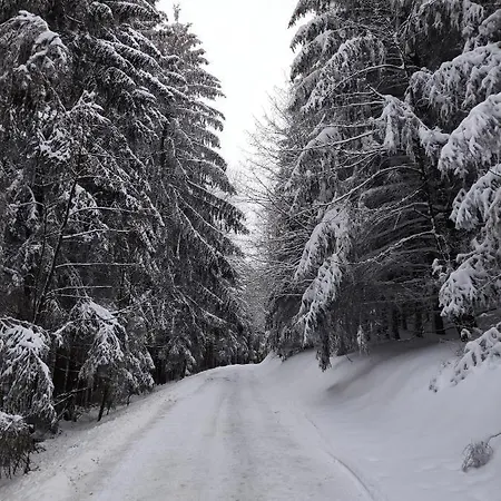 Appartement Zentrale Und Gemuetliche In Nah An Der Winterberg
