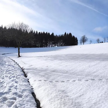 Zentrale Und Gemuetliche In Nah An Der Apartment Winterberg