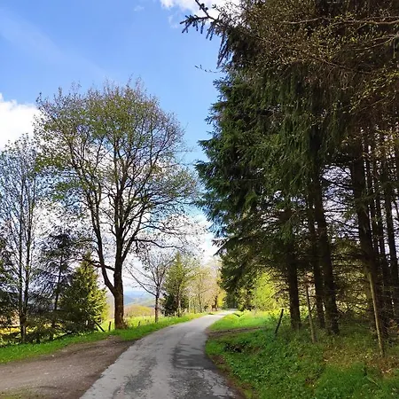 Appartement Zentrale Und Gemuetliche In Nah An Der *