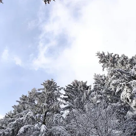 Апартаменти Zentrale Und Gemuetliche In Nah An Der *