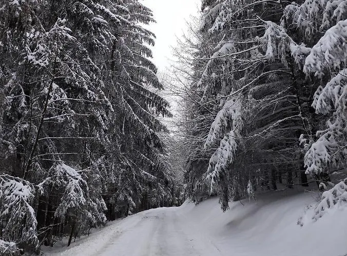 Apartment Zentrale Und Gemuetliche In Nah An Der Winterberg