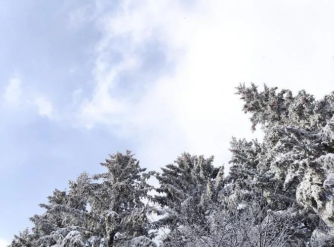 Apartment Zentrale Und Gemuetliche In Nah An Der *